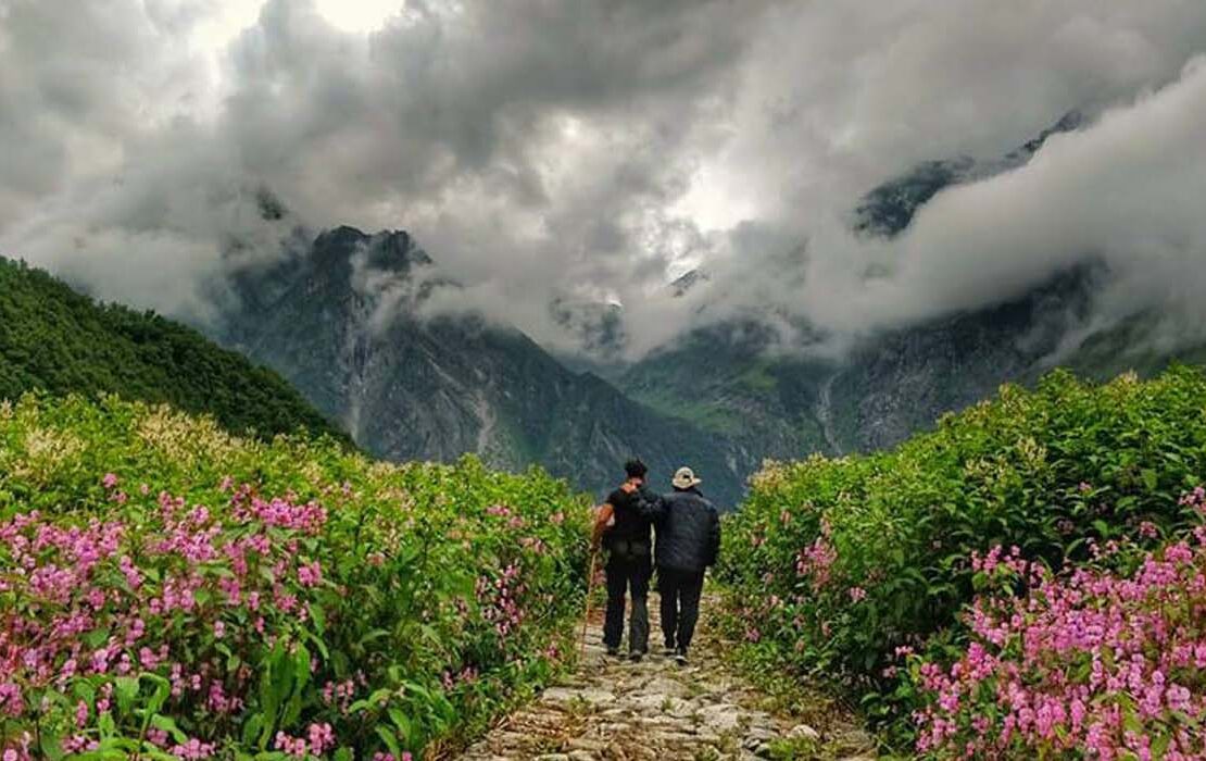 Valley-of-flowers