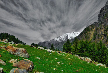 tosh trek