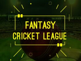 How to become pro in IPL fantasy cricket?